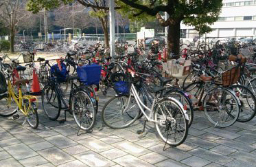 写真: 無秩序に置かれた自転車 (駐輪場開設前)