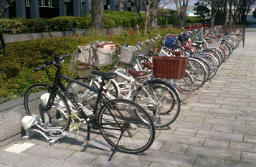 写真: 整然と置かれた自転車 (駐輪場開設後)