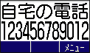 (拡大文字表示)