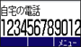 (標準文字表示)