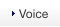 Voice
