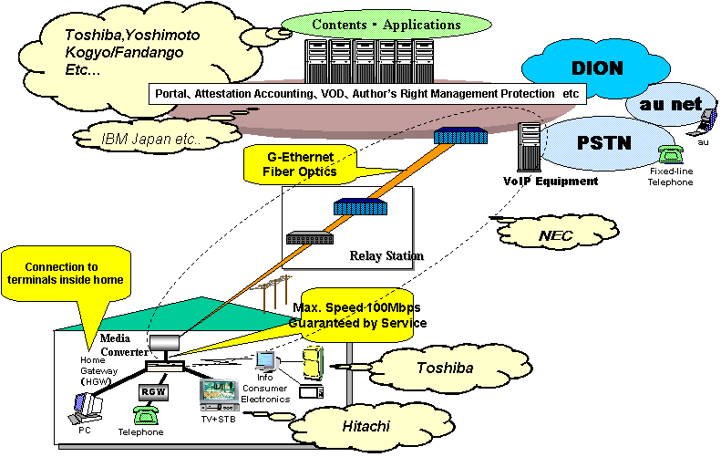 Service Network Organization