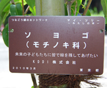 写真: メッセージプレート