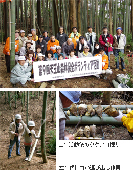 写真: 天王山における森林保全活動