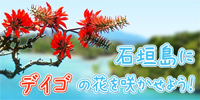 石垣島にディゴの花を咲かせよう!