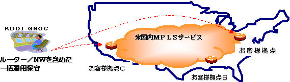 図: 海外エリアネットワーク マネージドパッケージ提供概念図