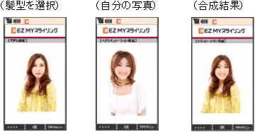 図: ヘアシミュレーション