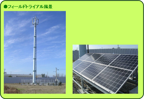 写真: フィールドトライアル風景