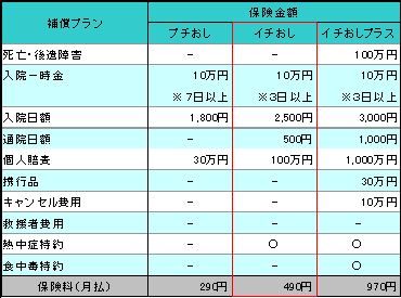 図: ランナーズプラン