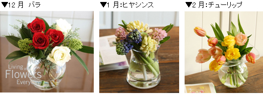 写真: 提供商品イメージ (予定)