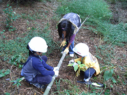 写真: 天王山森林保全ボランティア活動