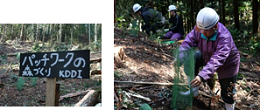 写真: 九州地区「パッチワークの森づくり」活動の実施
