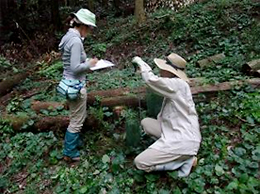 写真: 九州地区 森林保全活動「パッチワークの森づくり」の実施
