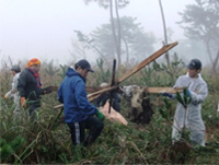 写真: 社員による被災地でのボランティア<br/>活動＿瓦礫撤去（ 宮城県沿岸部 ）