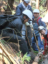 写真: 急斜面で間伐作業を行う社員