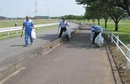写真: 清掃活動の様子