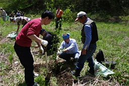 写真: 定植作業の様子