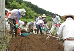 写真: 田畑に流出した石や土砂の撤去作業の様子