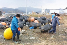 写真: 浮きの運搬作業を行う社員