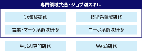 図：専門スキル内容