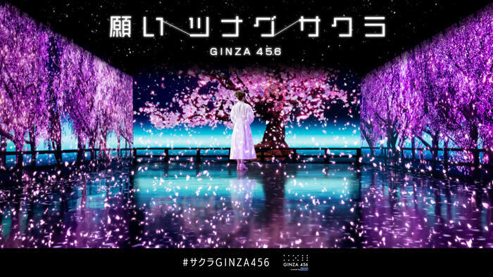 GINZA 456