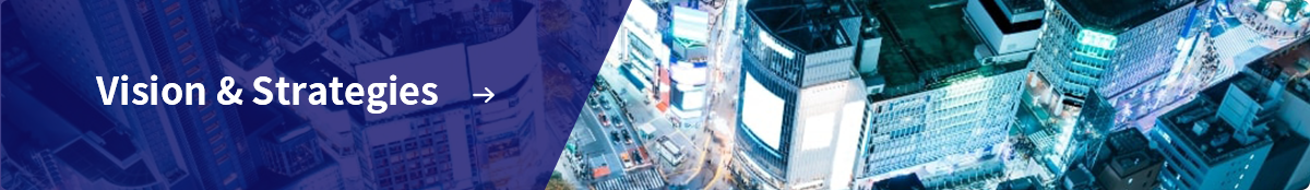 Vision & Strategies