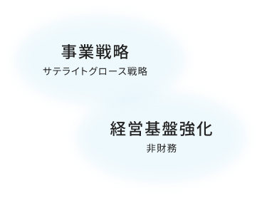 事業戦略 サテライトグロース戦略、 経営基盤強化 非財務