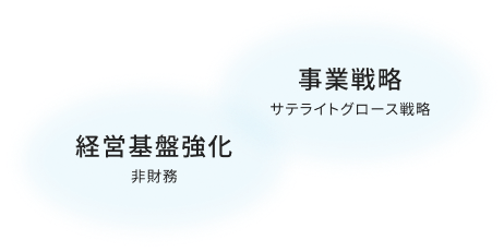 事業戦略 サテライトグロース戦略、 経営基盤強化 非財務